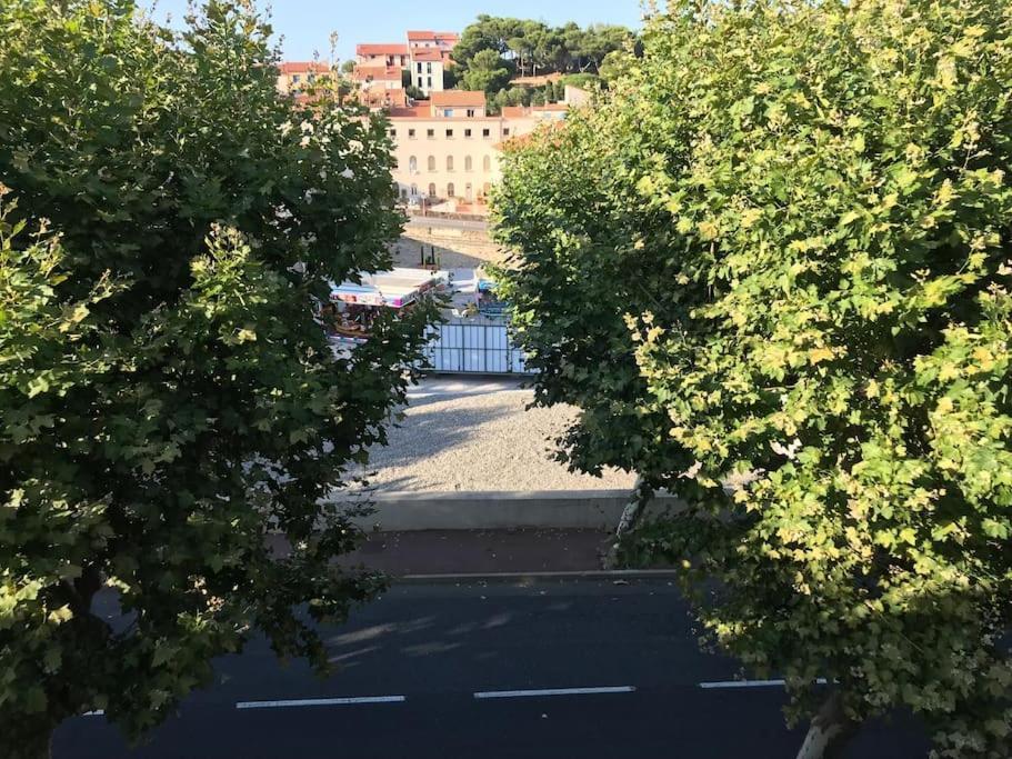 Studio Bon Dia/Balcon/Proche Criques Et Collioure Apartment Port Vendres ภายนอก รูปภาพ