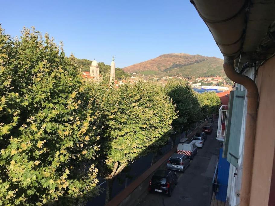 Studio Bon Dia/Balcon/Proche Criques Et Collioure Apartment Port Vendres ภายนอก รูปภาพ